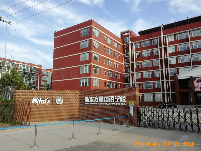 ������ƽ�|���w���^�w���ذ尲�b����